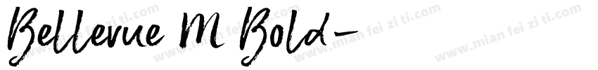 Bellevue M Bold字体转换